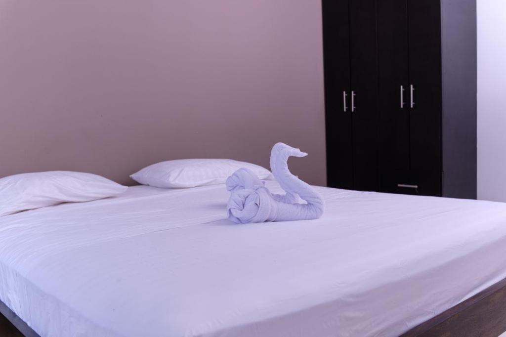 Resort Marianza Necoclí Zewnętrze zdjęcie